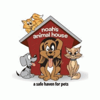 Noah's-Animal-House